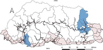 A Qualitative Risk Assessment of Rabies Reintroduction Into the Rabies Low-Risk Zone of Bhutan